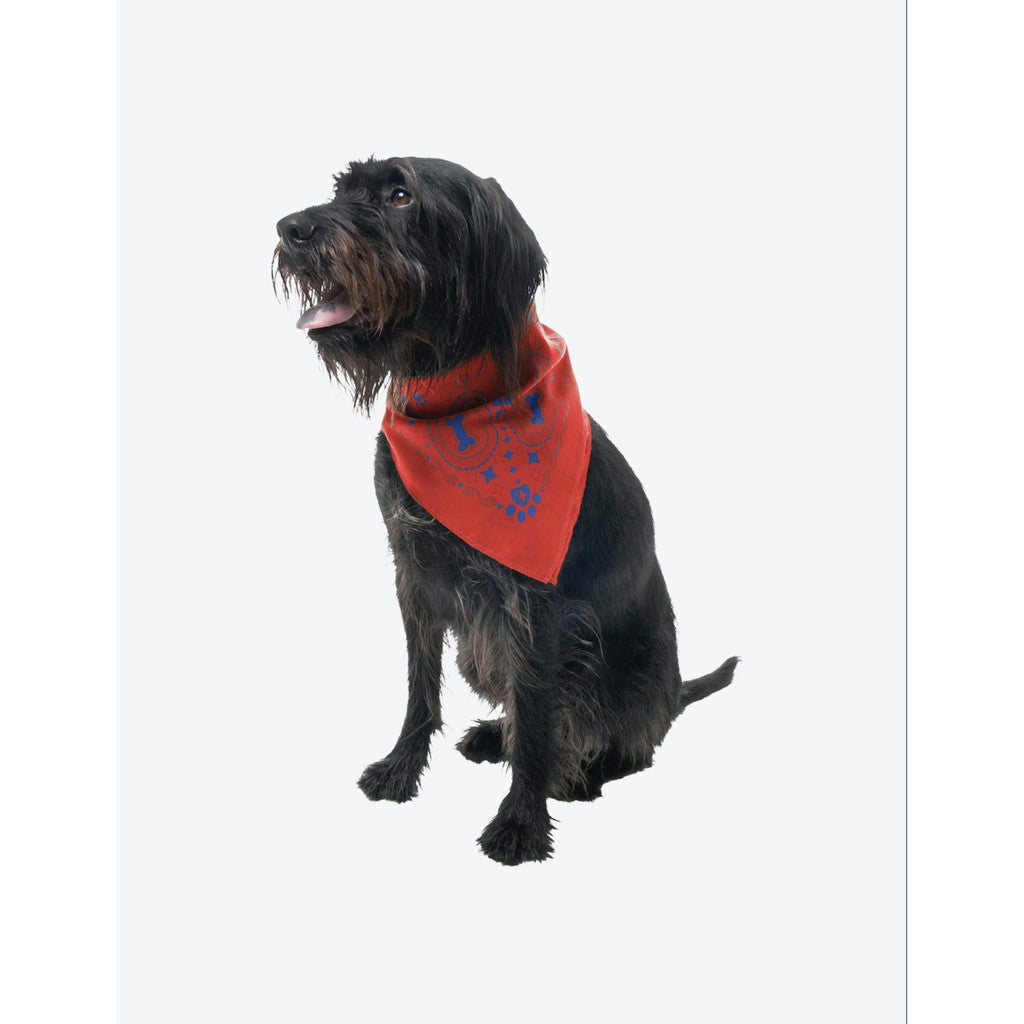 Insect Shield Pet Bandana — Bug-Repellent Bandana for Dogs & Cats (22" x 22")