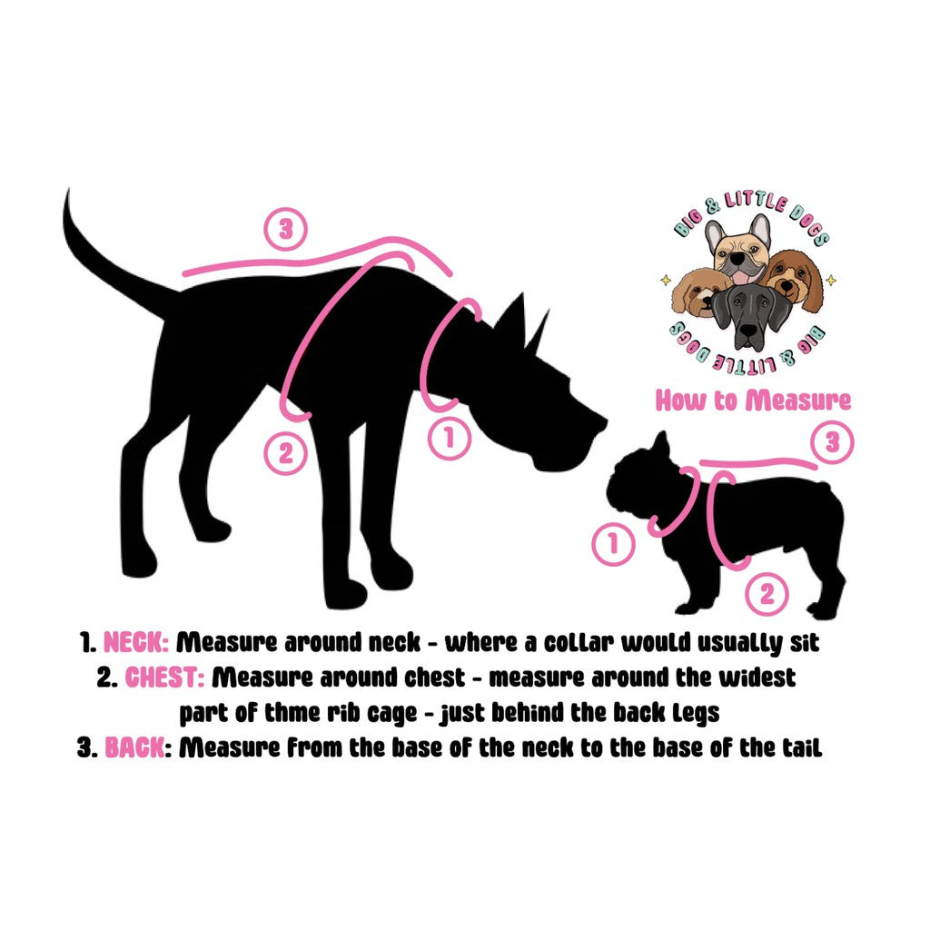 Big & Little Dogs Reversible Dog Harness — It's a Pool Party (XS-XL)