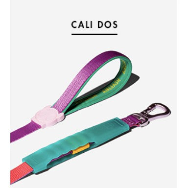 Zee.Dog Airleash — Flowtex Shock-Absorbing Dog Leash (1m)