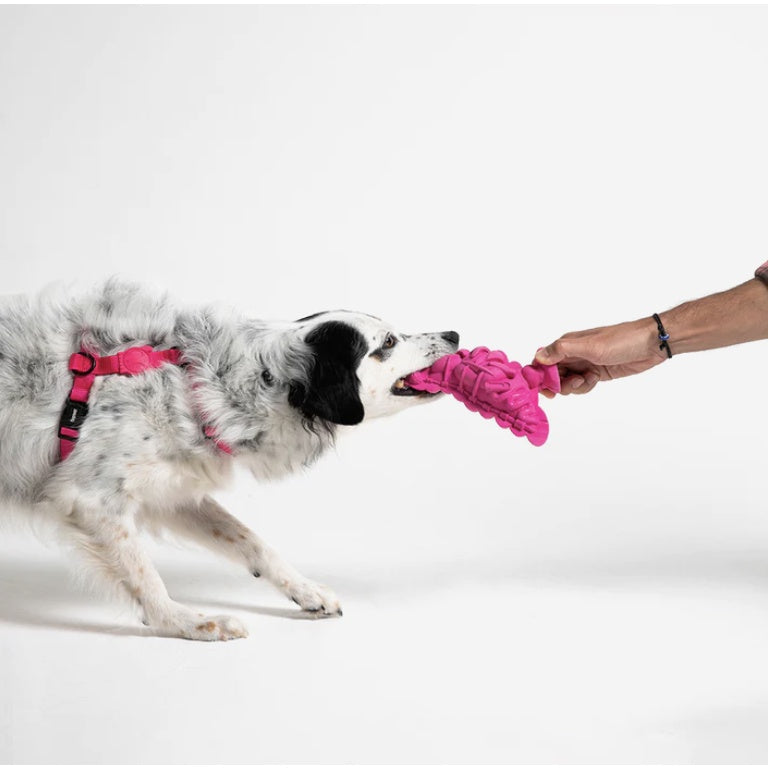 Zee.Dog x Staple Fat Pigeon — 100% Natural Rubber Dog Chew Toy