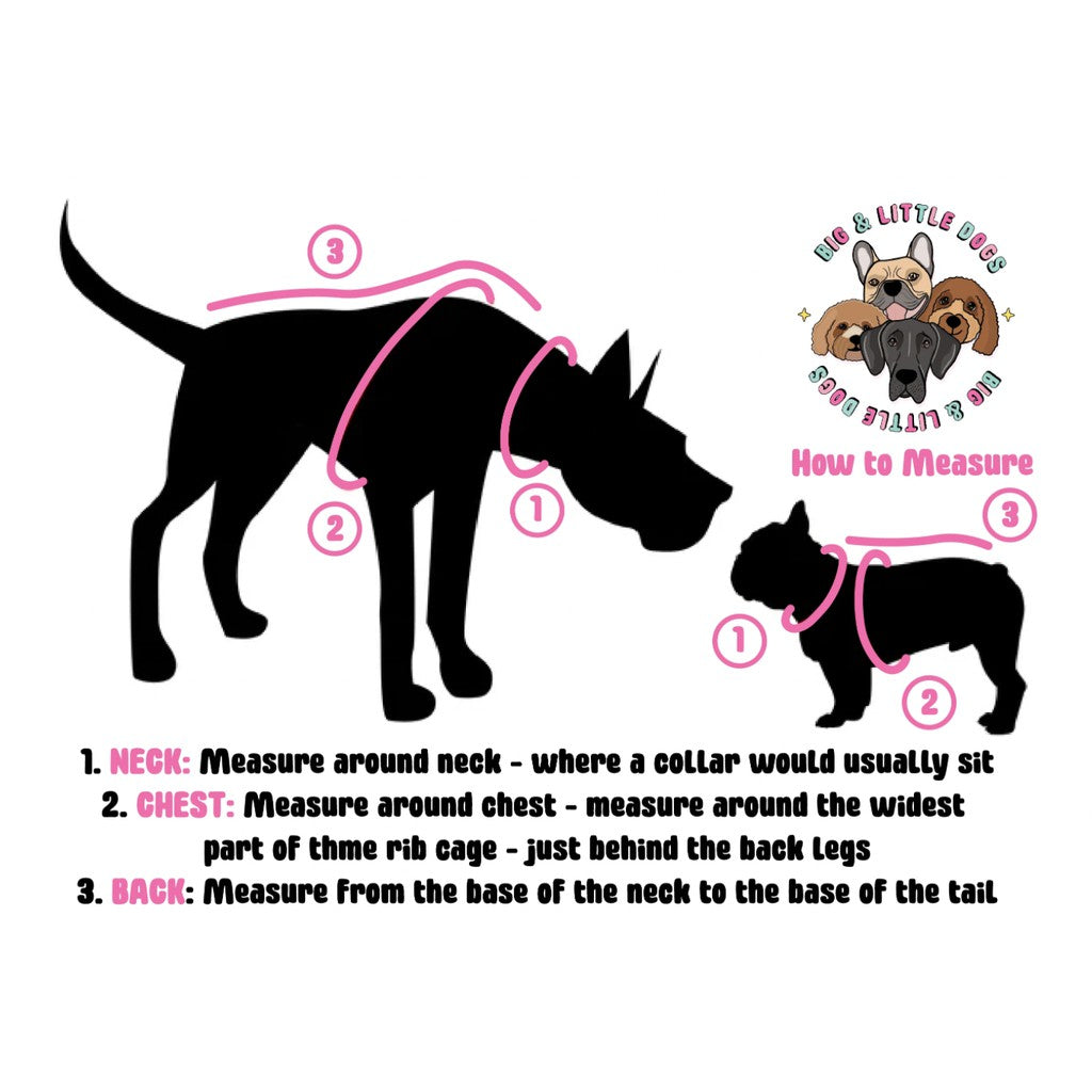 Big & Little Dogs Adjustable Dog Harness — Custom Neoprene with Easter Print (Size XS-XL)
