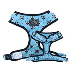 Big & Little Dogs Adjustable Dog Harness — Custom Printed Neoprene (Blue Racoon)