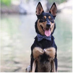 Dharf Dog Bow Tie — Handmade Cotton with Velcro Attachment (XS, S, M)