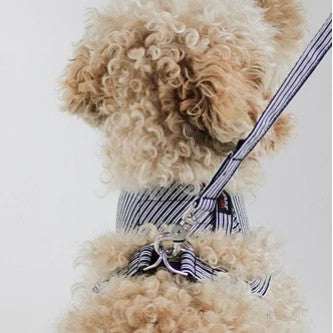 Dharf Dog Harness — Cotton & Bamboo Fiber with Detachable Bow-Tie (Size S)