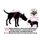 Big & Little Dogs Everyday Dog Harness — Ultra-Soft Eco-Friendly Mesh (Black)