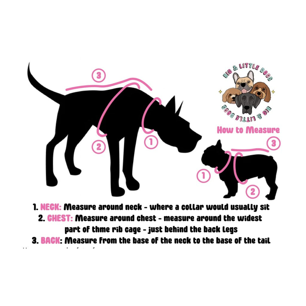 Big & Little Dogs Everyday Dog Harness — Ultra-Soft Eco-Friendly Mesh (Black)