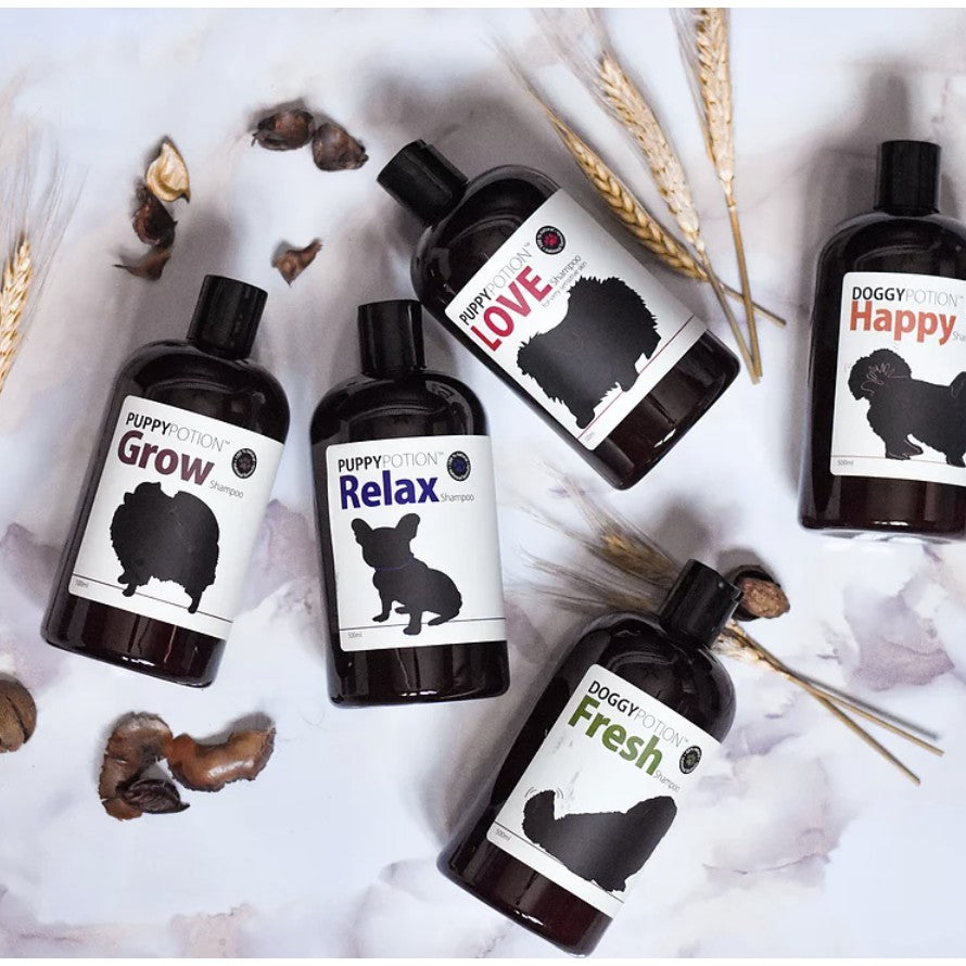Doggypotion Shampoo 500ml — Natural Soothing Scents for Dogs & Cats