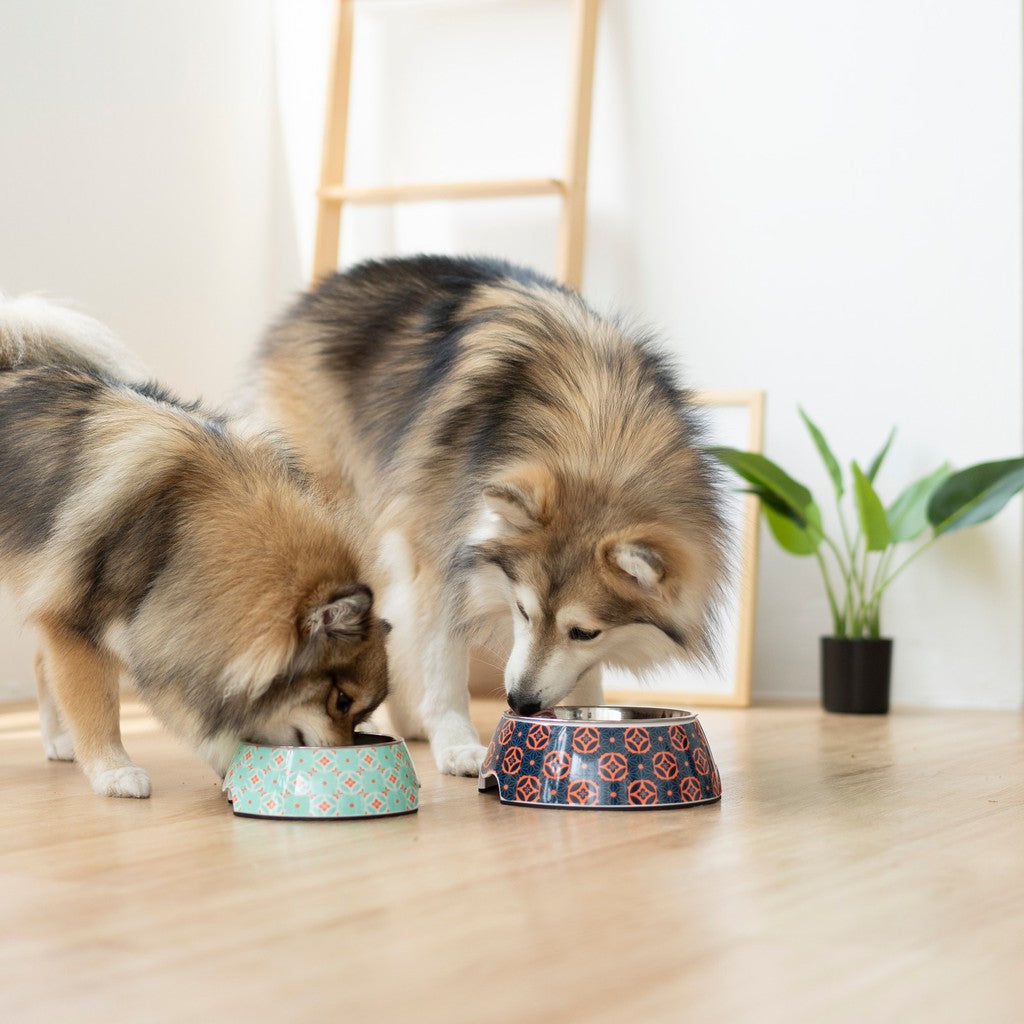 Ohpopdog Non-Slip Pet Bowl — Straits Mint Design (3 Sizes)