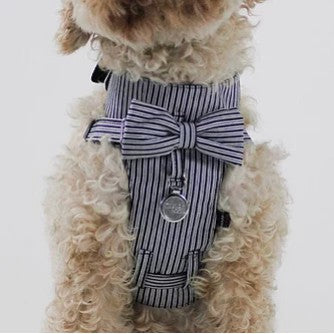 Dharf Dog Harness — Cotton & Bamboo Fiber with Detachable Bow-Tie (Size S)