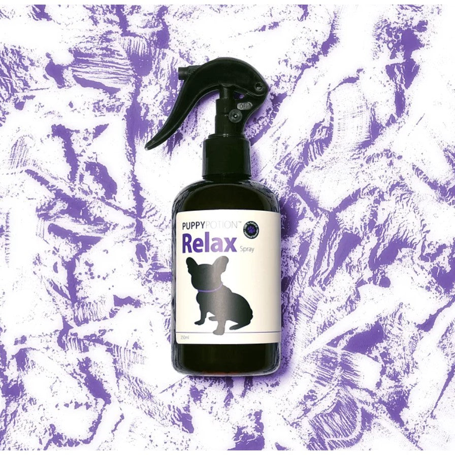 Doggypotion Conditioning Spray — Multi-Scent Grooming Spray for Dogs (250ml)