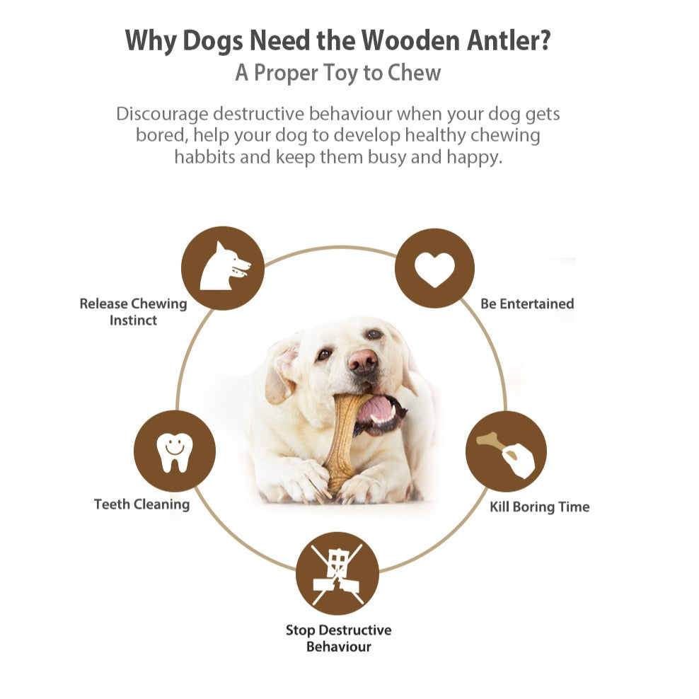 GiGwi Antler Wooden Chew Toy — Durable Natural Dog Chew Bone (4 Sizes)