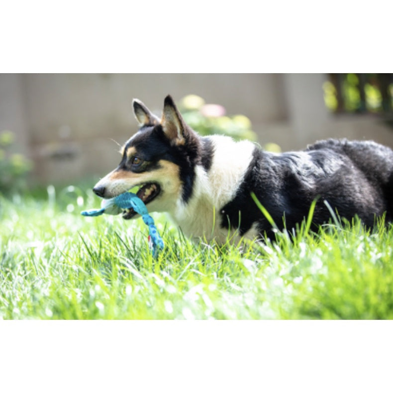GiGwi Suppa Puppa Plush Tug Toy — Squeaky Chew for Puppies (Monkey or Rabbit)