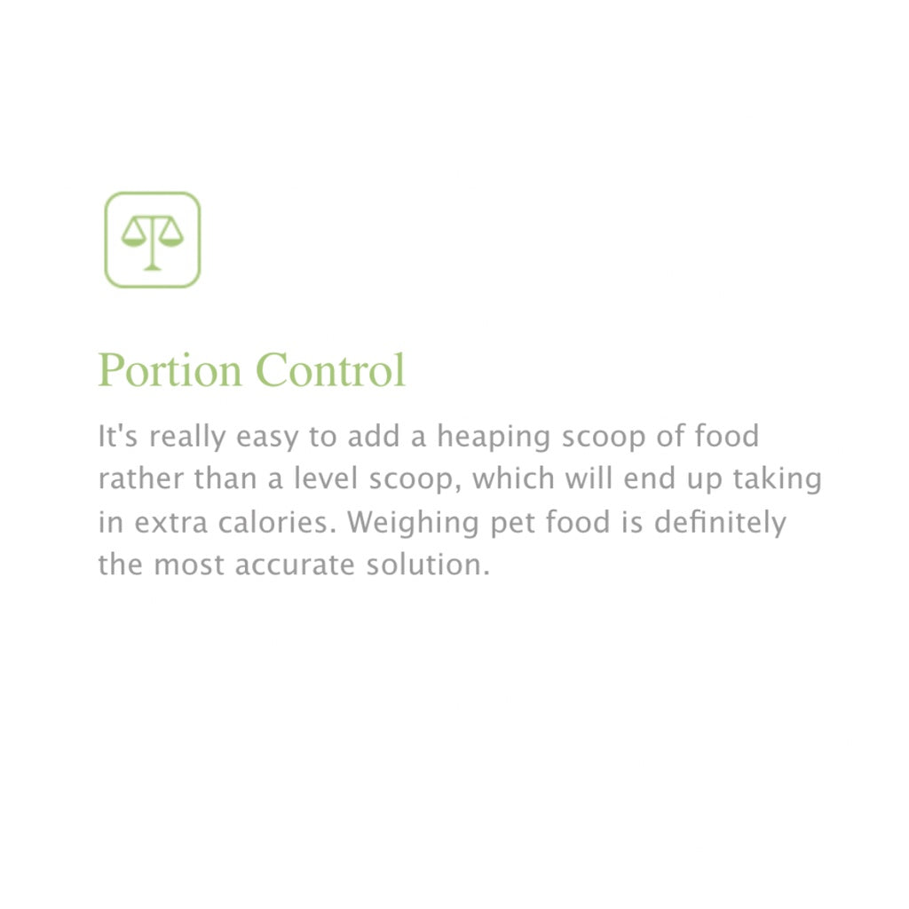 PetGeek 2-in-1 Smart Bowl — Portion Control & Slow Feeder for Dogs & Cats