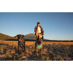 Ruffwear Front Range No-Pull Dog Harness — Padded Everyday Comfort