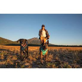 Ruffwear Front Range No-Pull Dog Harness — Padded Everyday Comfort