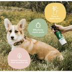 kin+kind Flea & Tick Protect Spray — Plant-Based, Vet-Formulated (12 oz)