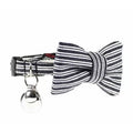 Dharf Cat Bow Tie Set — Black & White Breakaway Collar (20-29cm)