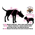 Big & Little Dogs Everyday Dog Harness — Ultra Soft Eco-Friendly Mesh