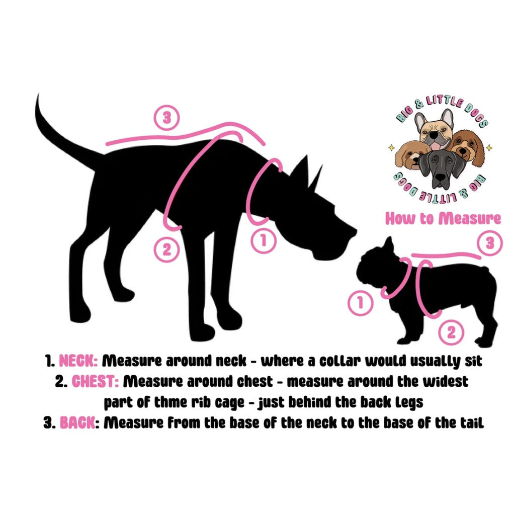 Big & Little Dogs Everyday Dog Harness — Ultra Soft Eco-Friendly Mesh