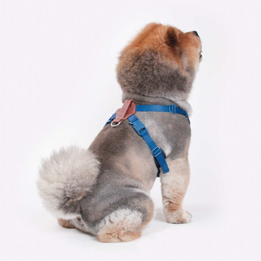 Sputnik Comfort Dog Harness — Breathable Mesh & Genuine Leather (Size S-L)