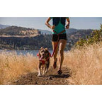 Ruffwear Roamer Bungee Dog Leash — Hands-Free Stretch Design (2 Sizes)