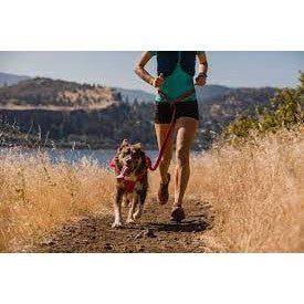 Ruffwear Roamer Bungee Dog Leash — Hands-Free Stretch Design (2 Sizes)