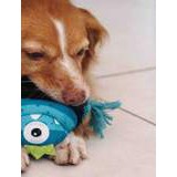Zee.Dog King Jambo — Painted Canvas Squeaky Dog Toy