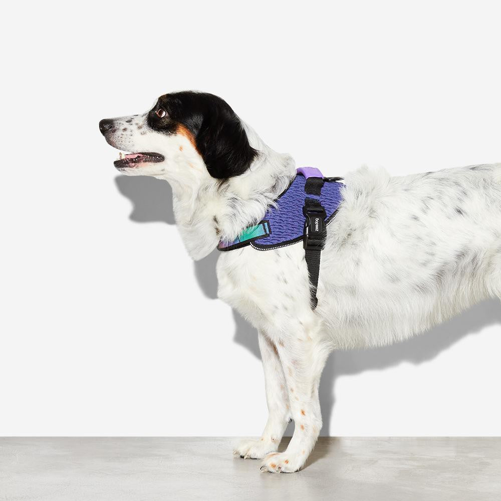 Zee.Dog FlyHarness — Ultra-Lightweight Reflective Dog Harness (5 Sizes)