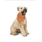 Insect Shield Pet Bandana — Bug-Repellent Bandana for Dogs & Cats (22" x 22")