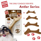 GiGwi Antler Wooden Chew Toy — Durable Natural Dog Chew Bone (4 Sizes)