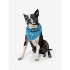 Insect Shield Pet Bandana — Bug-Repellent Bandana for Dogs & Cats (22" x 22")
