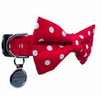 Dharf Bow Tie Collar Set — Red Polka Dot (2-Piece Set)