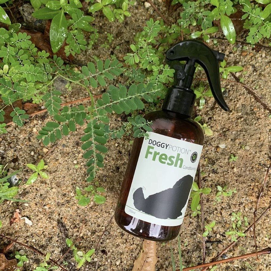 Doggypotion Conditioning Spray — Multi-Scent Grooming Spray for Dogs (250ml)
