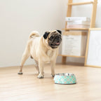 Ohpopdog Non-Slip Pet Bowl — Straits Mint Design (3 Sizes)