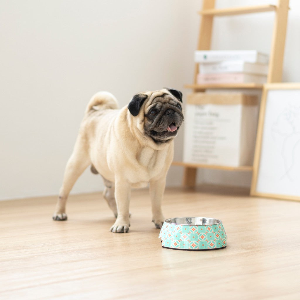 Ohpopdog Non-Slip Pet Bowl — Straits Mint Design (3 Sizes)