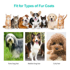 Neakasa P1 Pro Pet Grooming Kit — 5-in-1 Low-Noise Vacuum for Dogs & Cats