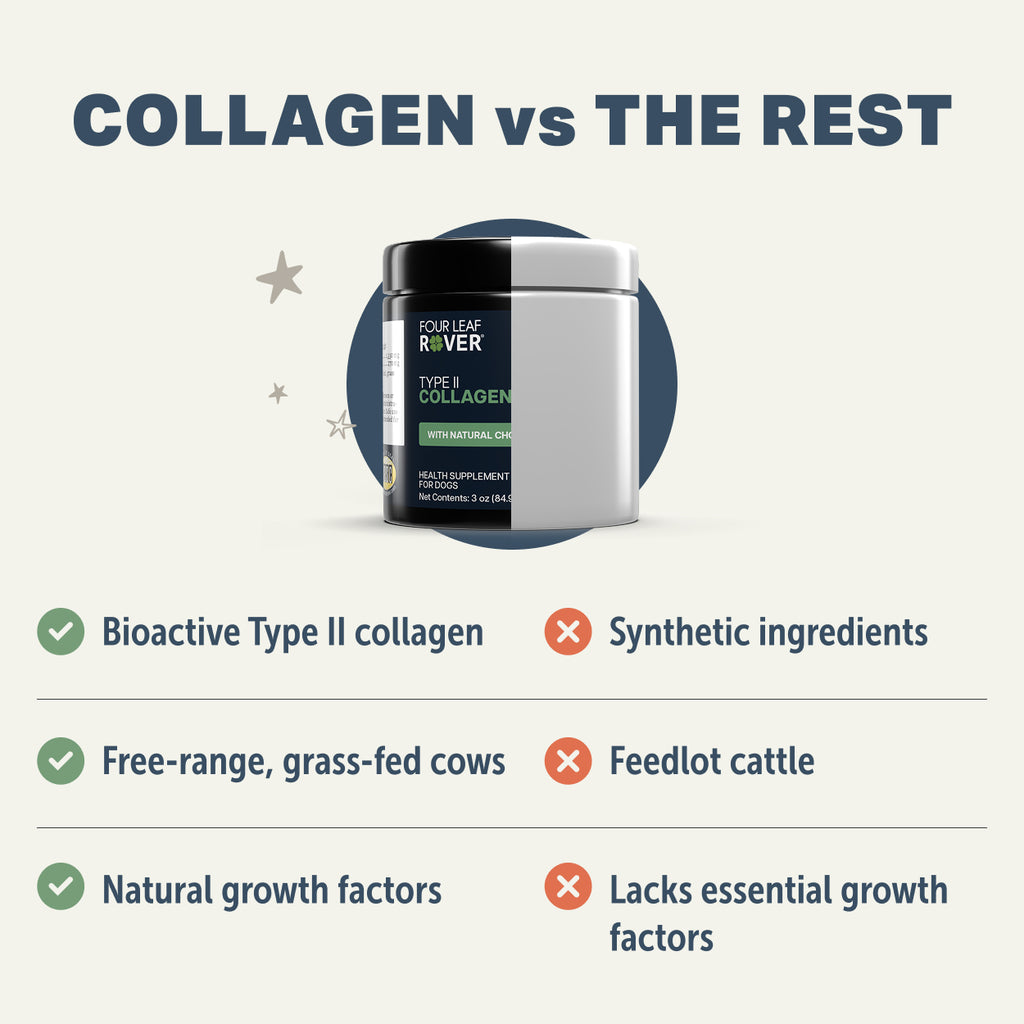 Four Leaf Rover Type II COLLAGEN PEPTIDES (84.9g/3oz)