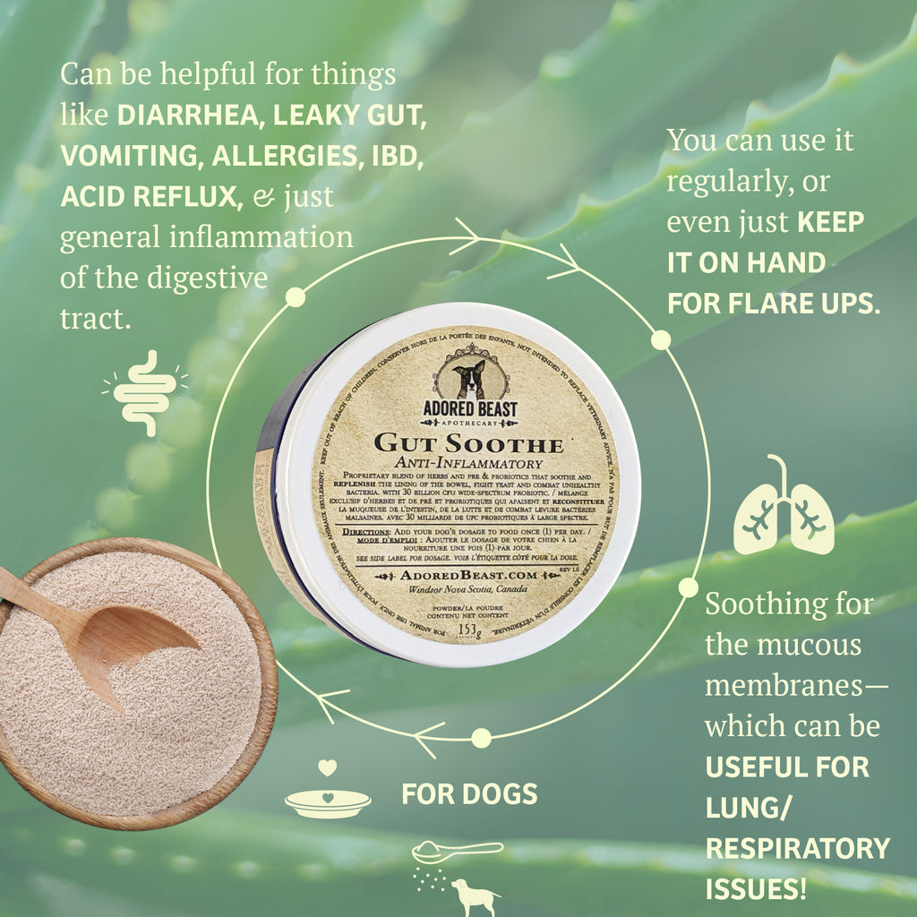 Adored Beast Gut Soothe - Anti-Inflammatory (52g/153g)