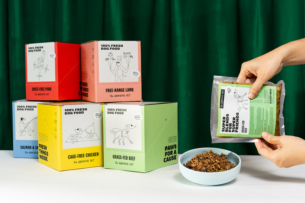 The Grateful Pet: Gently Cooked/Raw for Dogs (8x 250g) Case