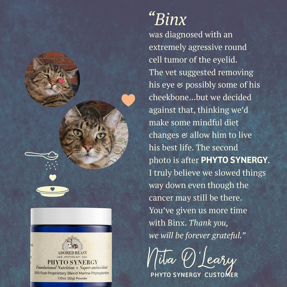 Adored Beast Apothecary Phyto Synergy — Marine Phytoplankton (15g / 32g)