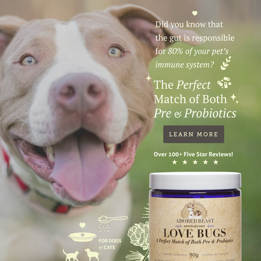 Adored Beast Love Bugs - Perfect Match of Both Pre & Probiotics(40g/80g