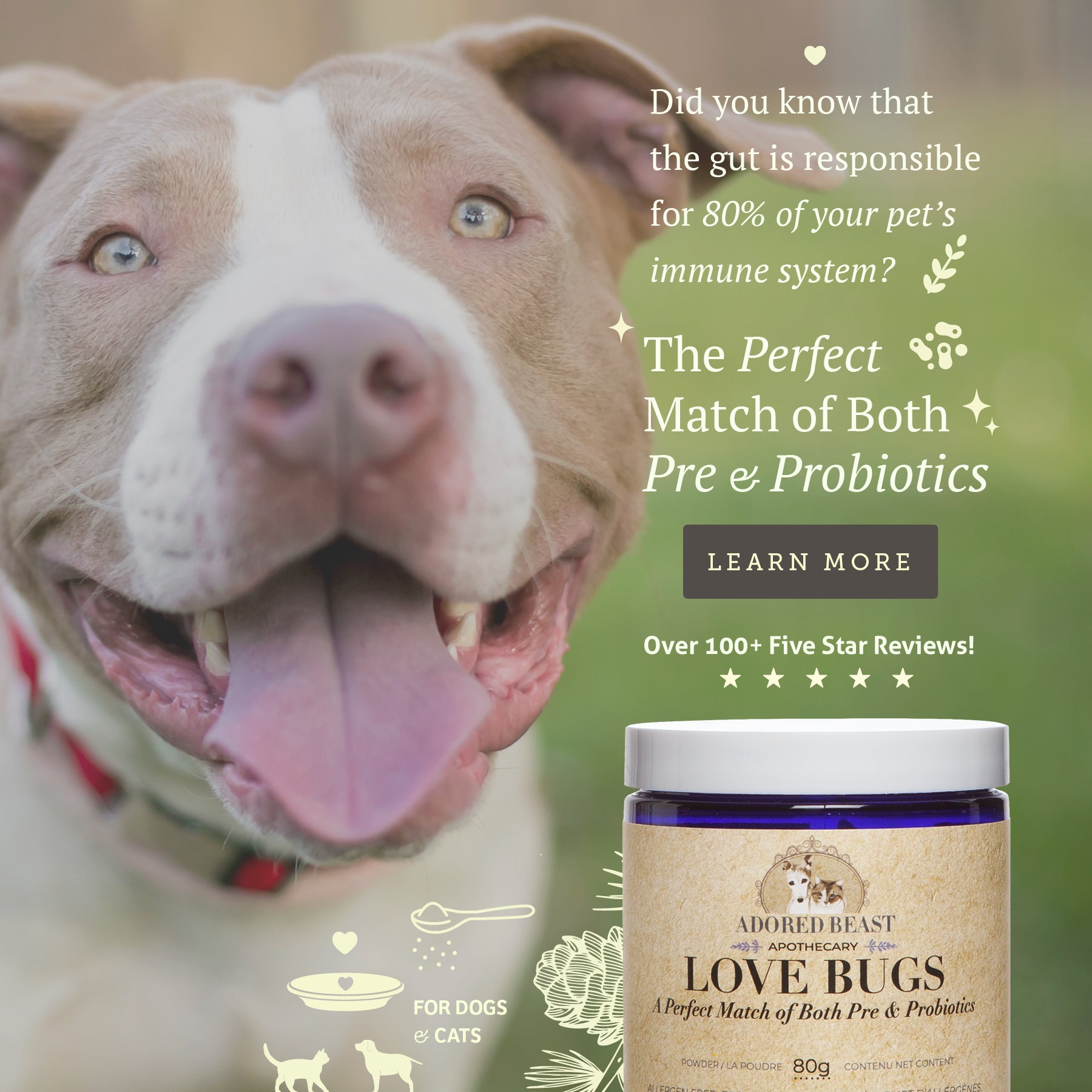 Adored Beast Love Bugs - Perfect Match of Both Pre & Probiotics(40g/80g
