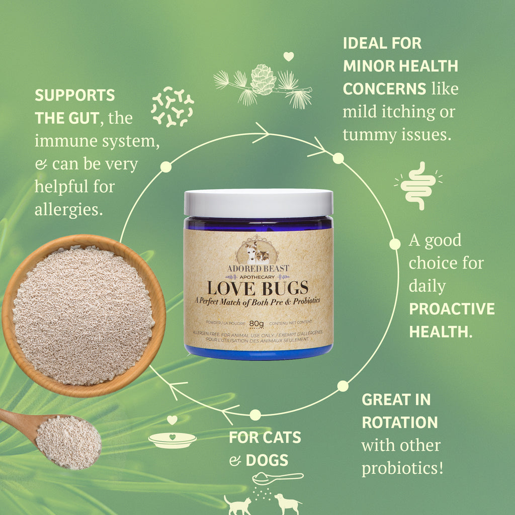 Adored Beast Love Bugs - Perfect Match of Both Pre & Probiotics(40g/80g