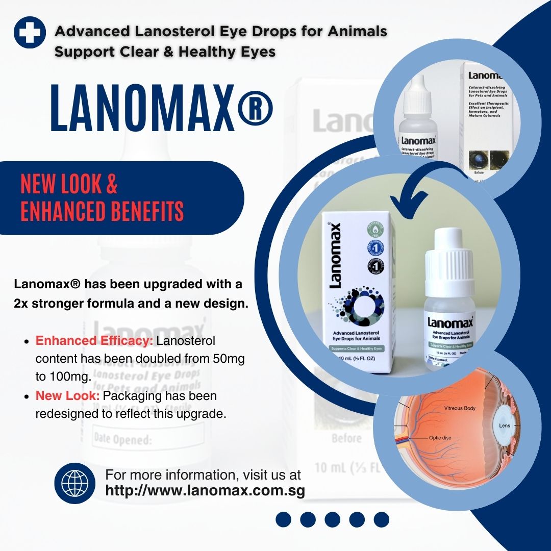 [Vets Recommended] Upgraded: 2x Formula - Lanomax®️10ml: Advanced Lanosteral Eye Drops for Animals