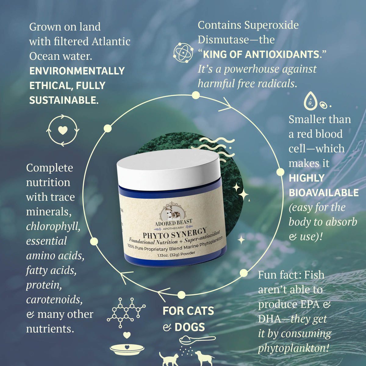 Adored Beast Apothecary Phyto Synergy — Marine Phytoplankton (15g / 32g)