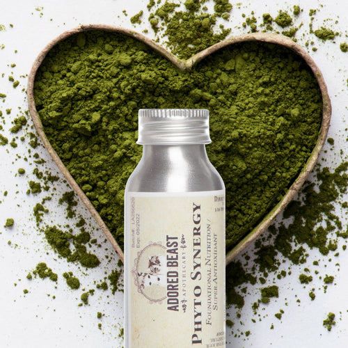 Adored Beast Apothecary Phyto Synergy — Marine Phytoplankton (15g / 32g)