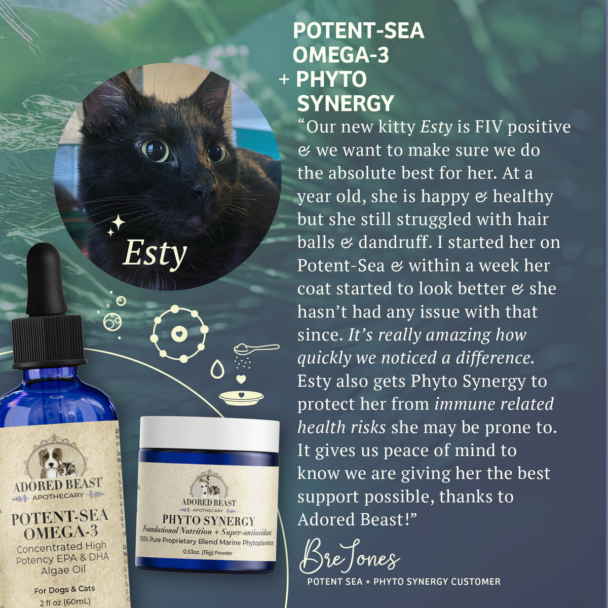 Adored Beast Apothecary Phyto Synergy — Marine Phytoplankton (15g / 32g)