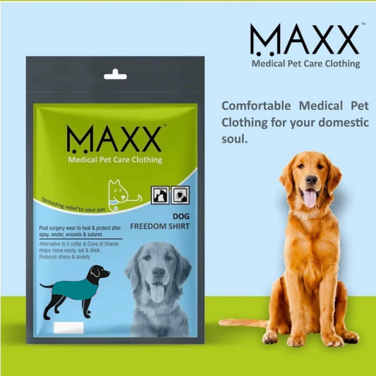 Maxx Recovery Suit for Pets (E-collar alternative, for post-operation/surgery care)