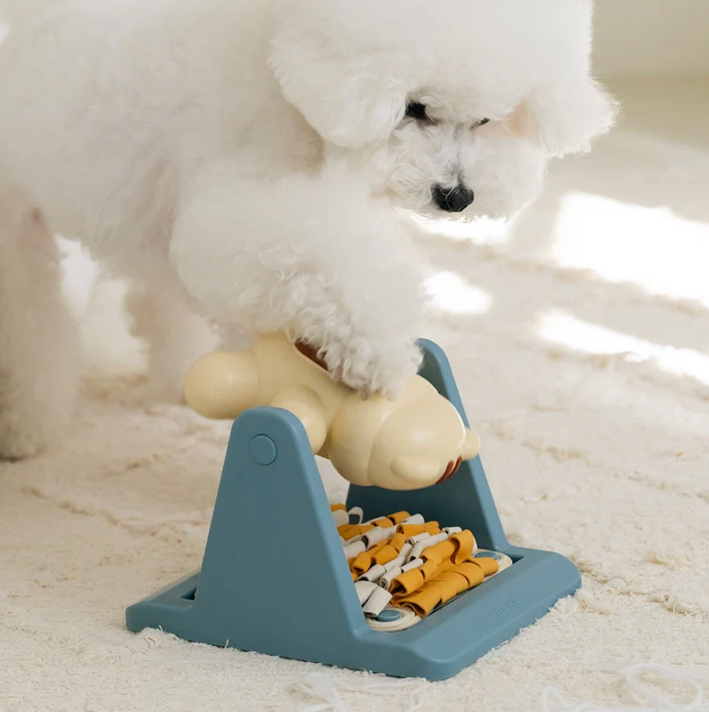 Biteme Braining Spin and Snack Squirrel Toy - Interactive