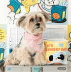 Biteme Nosework Playbook - Laundry Day/Baking Day/Good Night